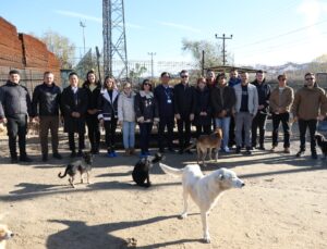 SAMSUNG’DAN SOKAK HAYVANLARINA MAMA DESTEĞİ