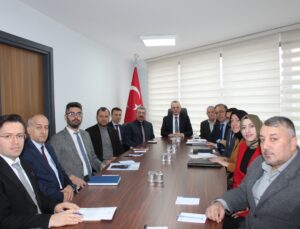 ROMAN VATANDAŞLARA YÖNELİK EYLEM PLANI DEĞERLENDİRİLDİ