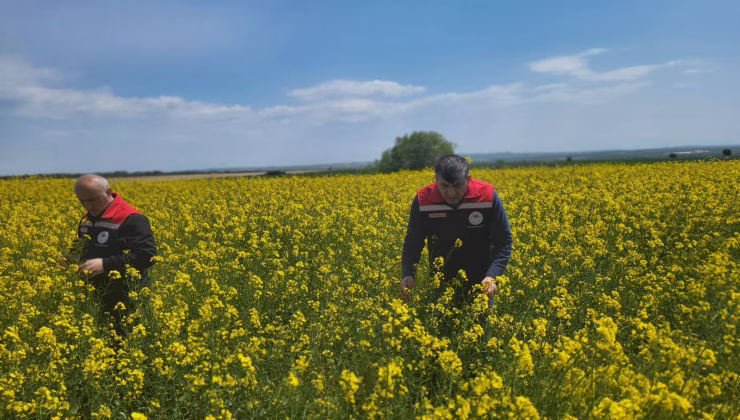 ÇERKEZKÖY’DE DOLU ZARARI YOK