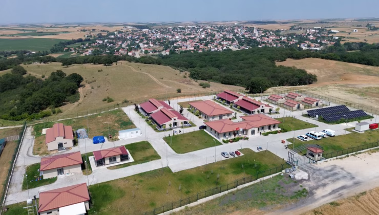 BÜYÜKŞEHİR SAHİPSİZ HAYVANLARA UMUT OLUYOR