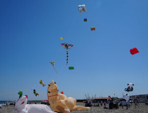 YÜZLERCE UÇURTMA HOŞKÖY SEMALARINI ŞENLİĞE ÇEVİRDİ