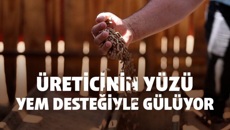 2 MİLYON KİLOGRAM YEM DAĞITILDI