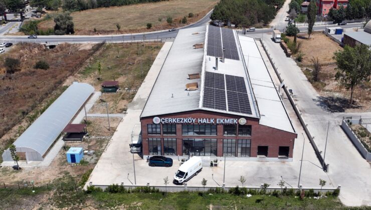 HEM EKMEK, HEM DE ELEKTRİK ÜRETECEK