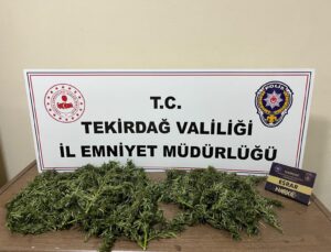TEKİRDAĞ’DA UYUŞTURUCU OPERASYONU