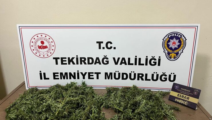 TEKİRDAĞ’DA UYUŞTURUCU OPERASYONU