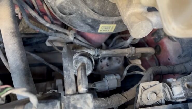 MOTORA SIĞINAN YAVRU KEDİLER DUYARLI VATANDAŞLAR VE İTFAİYE TARAFINDAN KURTARILDI