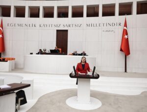 TAŞÇI: “TÜRKİYE BARONLARIN DEĞNEKSİZ KÖYÜ OLDU!”