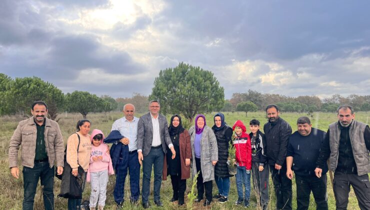 AK PARTİ, FİDAN DİKTİ