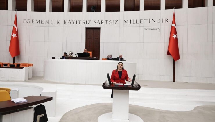 İYİ PARTİ MİLLETVEKİLİ TAŞÇI, TBMM BÜTÇESİNİ ELEŞTİRDİ!