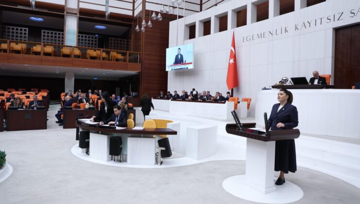 “BU BÜTÇE, PATLADIĞINDA HEPİMİZİ YAKAR”