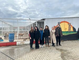 HAYVAN HAKLARI KOMİSYONU’NDAN SAHA ZİYARETİ