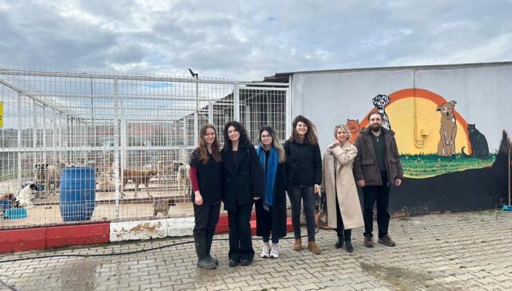 HAYVAN HAKLARI KOMİSYONU’NDAN SAHA ZİYARETİ