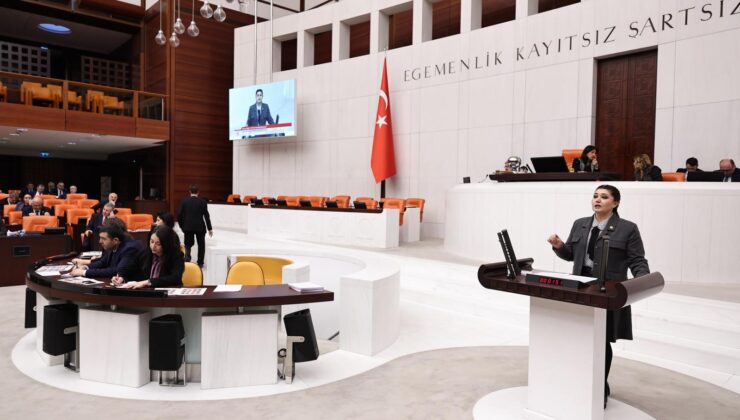 ANGUS TESİSİNE EN SERT TEPKİ TEKİRDAĞ MİLLETVEKİLİ SELCAN TAŞCI’DAN GELDİ