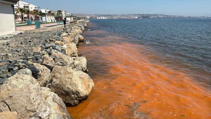 RENK DEĞİŞİMİNİN NEDENİ: MEVSİMSEL ALG PATLAMASI