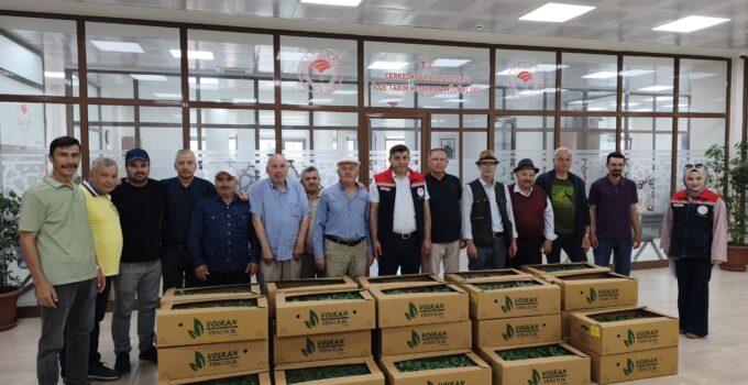 12 BİN 600 YAZLIK SEBZE FİDESİ DAĞITILDI