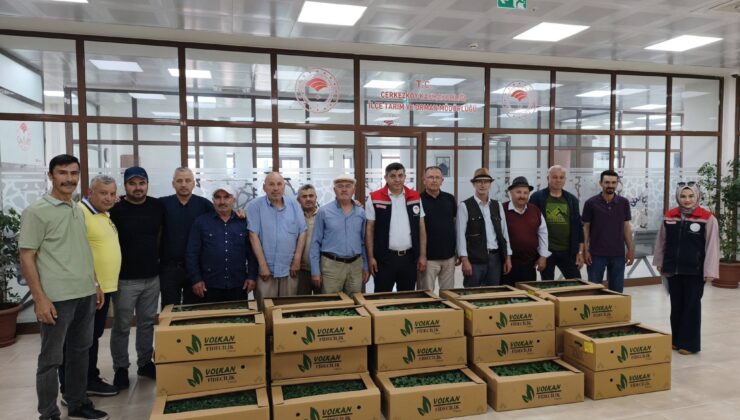 12 BİN 600 YAZLIK SEBZE FİDESİ DAĞITILDI
