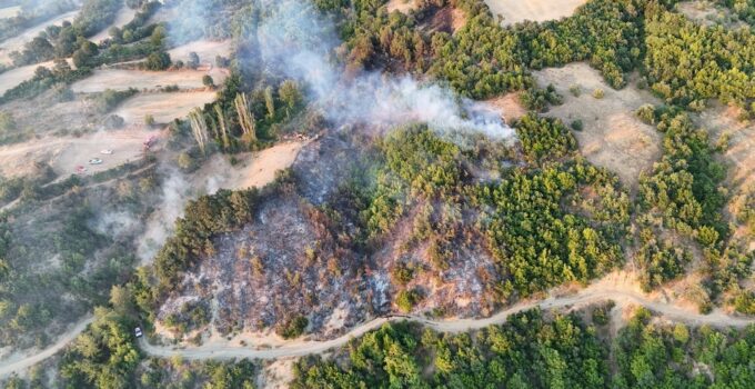 BÜYÜKŞEHİR’DEN YANGINA HIZLI MÜDAHALE