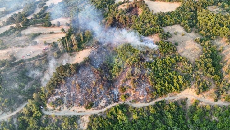 BÜYÜKŞEHİR’DEN YANGINA HIZLI MÜDAHALE