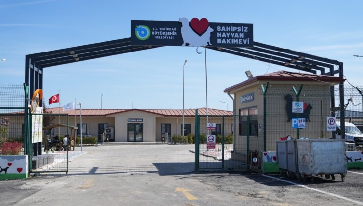 TEKİRDAĞ’DA CAN DOSTLARI EMİN ELLERDE