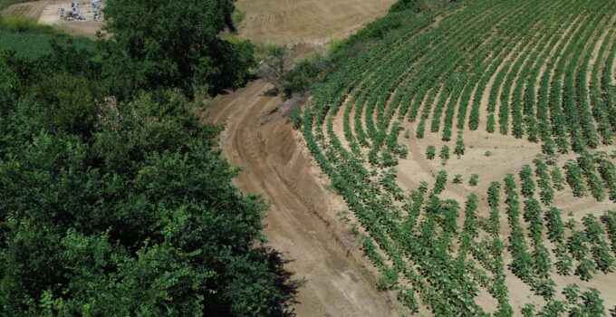 286 MAHALLEDE ÜRETİME GÜÇLÜ DESTEK