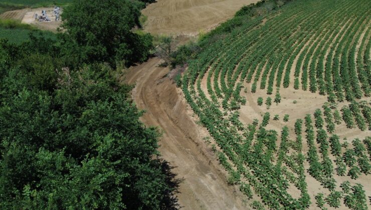 286 MAHALLEDE ÜRETİME GÜÇLÜ DESTEK