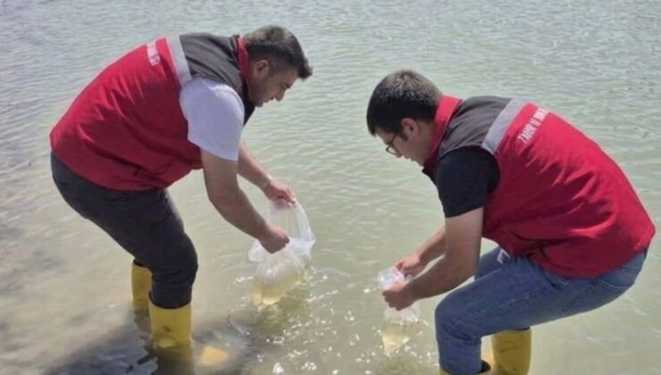 KIZILPINAR GÖLETİ’NE 15 BİN BALIK SALINDI
