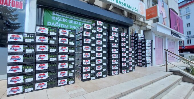 ÇERKEZKÖY VE KAPAKLI ÇİFTÇİSİNE FİDE DESTEĞİ